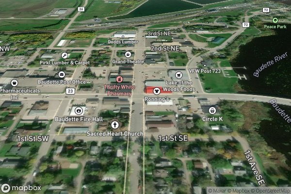 pet stain and odor removal in Baudette MN 56623 - Aerial View