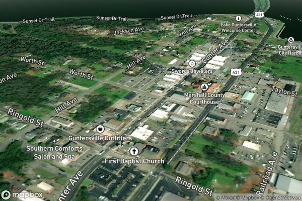 pet stain and odor removal in Guntersville AL 35976 - Aerial View