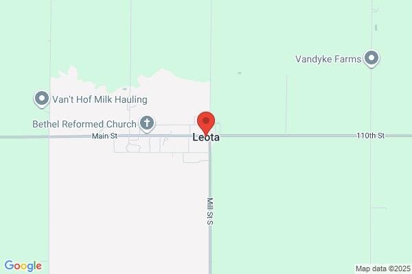 pet stain and odor removal in Leota MN 56153 - Roadmap