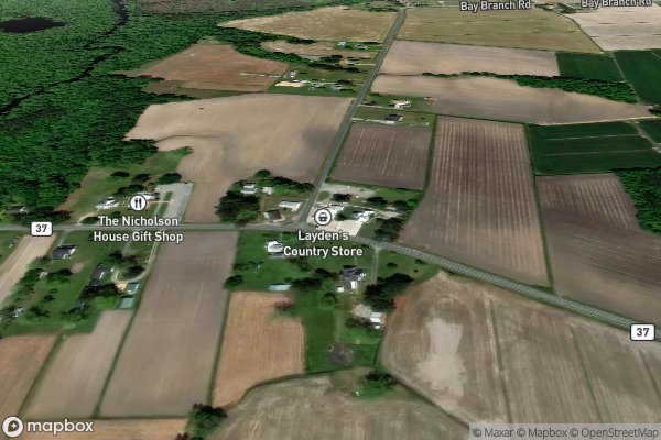 pet stain and odor removal in Belvidere NC 27919 - Aerial View