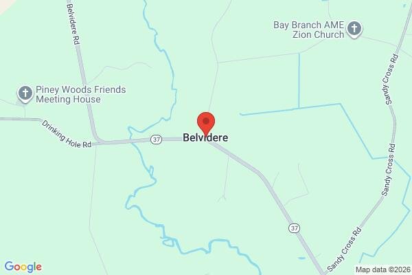 pet stain and odor removal in Belvidere NC 27919 - Roadmap