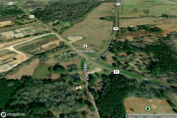 pet stain and odor removal in Chireno TX 75937 - Aerial View