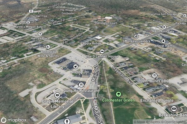 pet stain and odor removal in Colchester CT 06415 - Aerial View