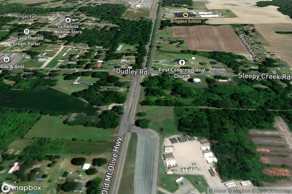 pet stain and odor removal in Dudley NC 28333 - Aerial View