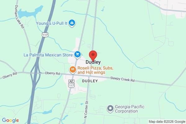 pet stain and odor removal in Dudley NC 28333 - Roadmap