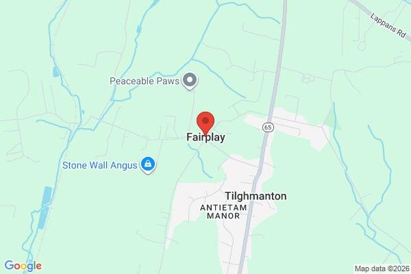 pet stain and odor removal in Fairplay MD 21733 - Roadmap