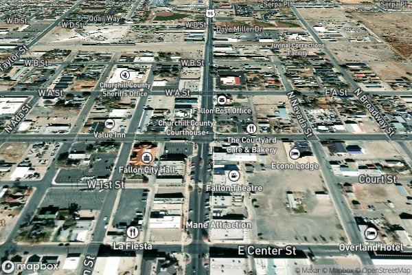 pet stain and odor removal in Fallon NV 89496 - Aerial View