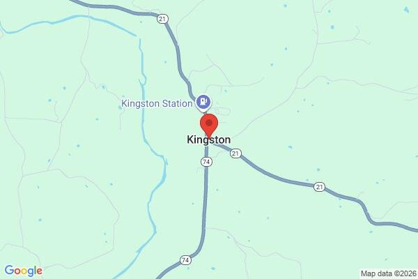 pet stain and odor removal in Kingston AR 72742 - Roadmap