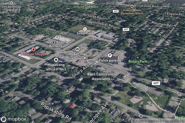 pet stain and odor removal in Lake Hopatcong NJ 07849 - Aerial View