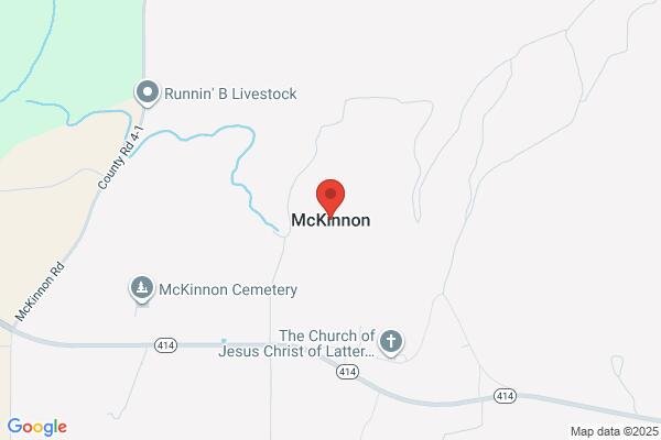 pet stain and odor removal in McKinnon WY 82938 - Roadmap