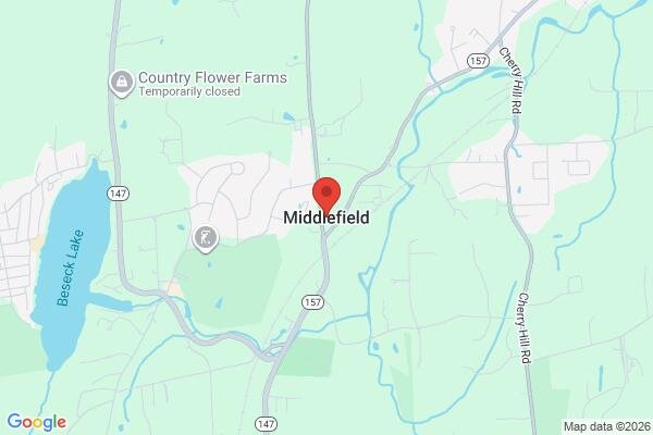 pet stain and odor removal in Middlefield CT 06455 - Roadmap