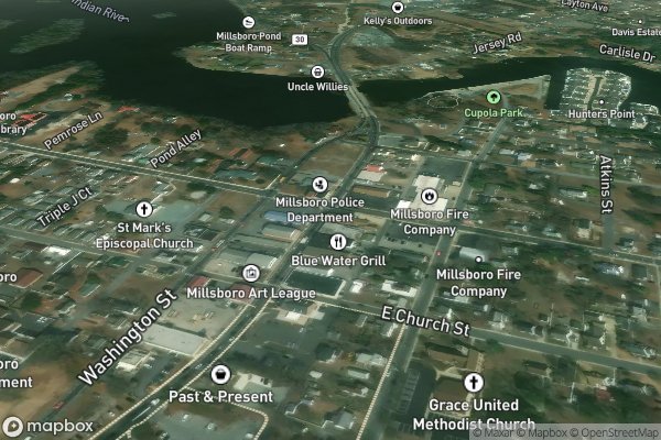 pet stain and odor removal in Millsboro DE 19966 - Aerial View