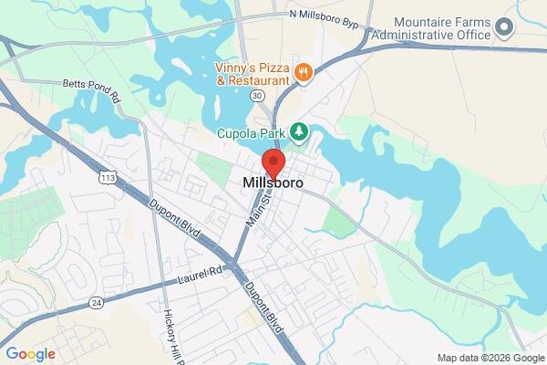 pet stain and odor removal in Millsboro DE 19966 - Roadmap