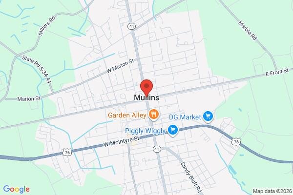 pet stain and odor removal in Mullins SC 29574 - Roadmap