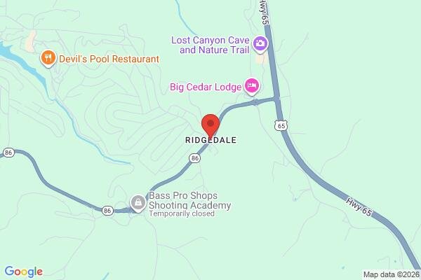 pet stain and odor removal in Ridgedale MO 65739 - Roadmap