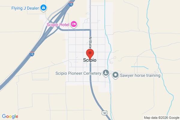 pet stain and odor removal in Scipio UT 84656 - Roadmap