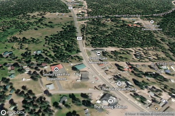 pet stain and odor removal in Seeley Lake MT 59868 - Aerial View