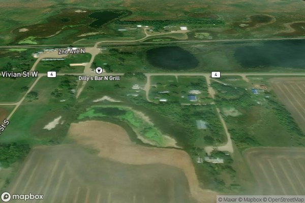 pet stain and odor removal in Stirum ND 58069 - Aerial View