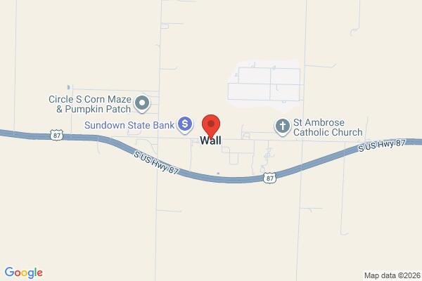 pet stain and odor removal in Wall TX 76957 - Roadmap