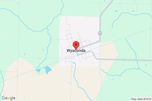 pet stain and odor removal in Wyaconda MO 63474 - Roadmap